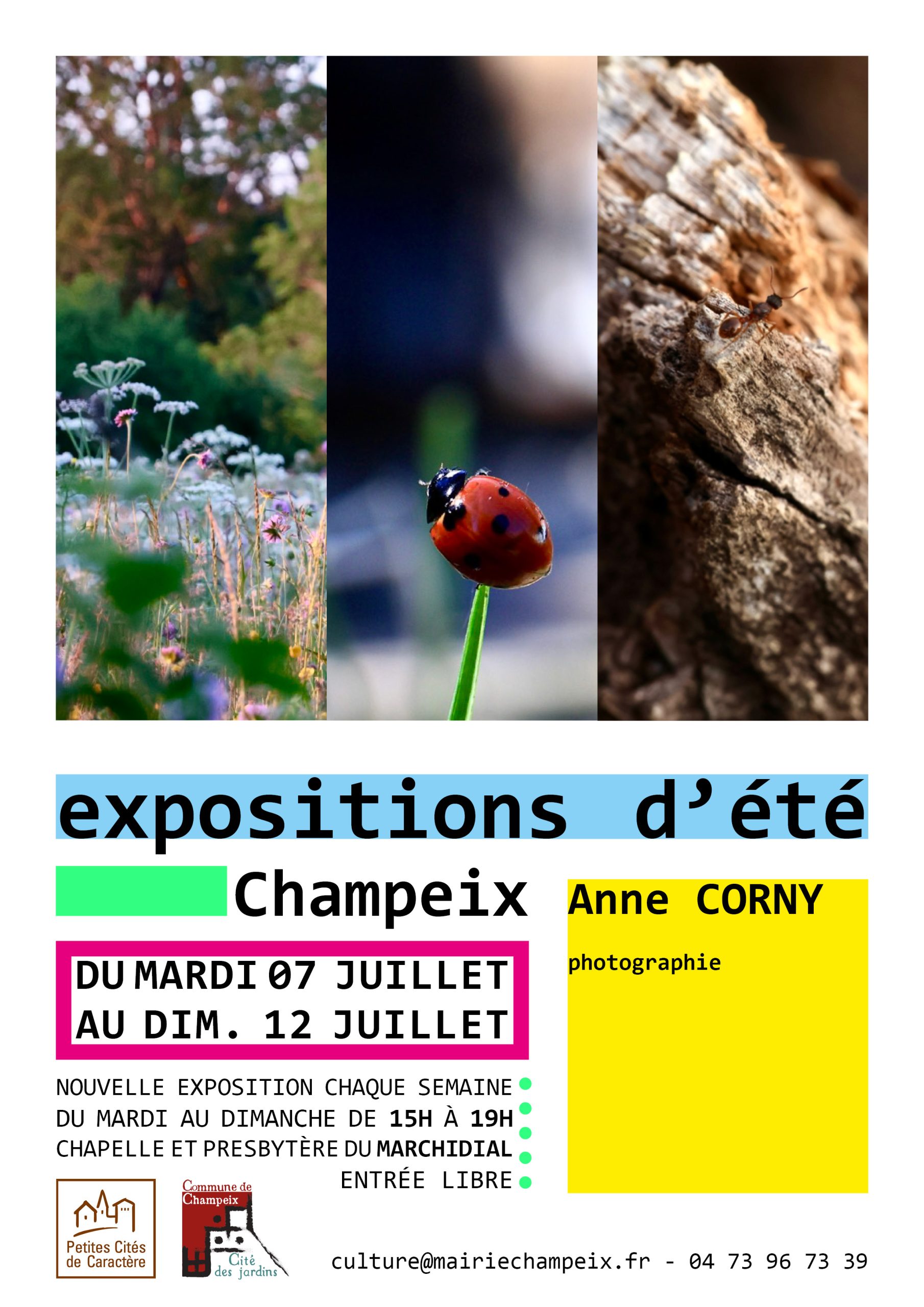 expo d'été 2026 anne corny